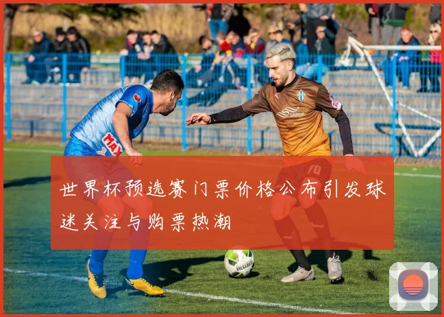 世界杯预选赛门票价格公布引发球迷关注与购票热潮