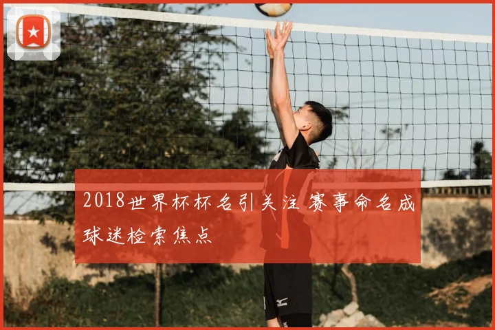 2018世界杯杯名引关注 赛事命名成球迷检索焦点