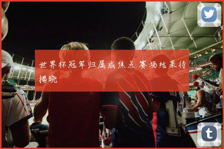 世界杯冠军归属成焦点 赛场结果待揭晓