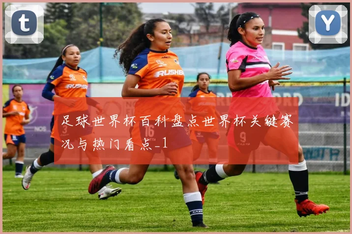 足球世界杯百科盘点世界杯关键赛况与热门看点_1