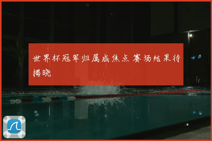 世界杯冠军归属成焦点 赛场结果待揭晓