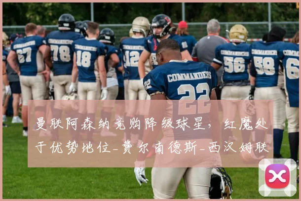 曼联阿森纳竞购降级球星,红魔处于优势地位_费尔南德斯_西汉姆联_欧冠