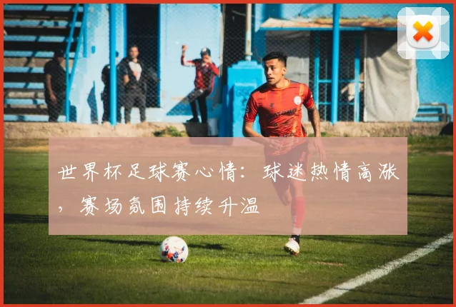 世界杯足球赛心情：球迷热情高涨，赛场氛围持续升温